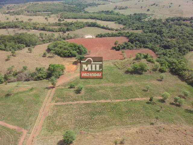 Fazenda 24 Alqueires ( 116.16 hectares )- Santa Cruz \ Cristianópolis-GO - Foto 6