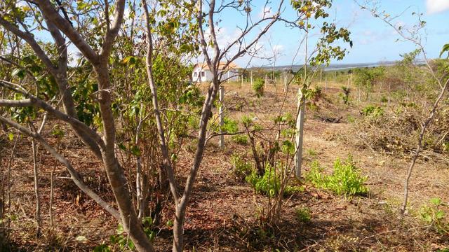 Lote de 200m² em Tibáu do Sul (Pipa) perto da praia - Foto 3