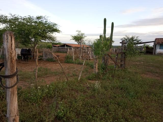 Fazenda Malhada Nova - Foto 4