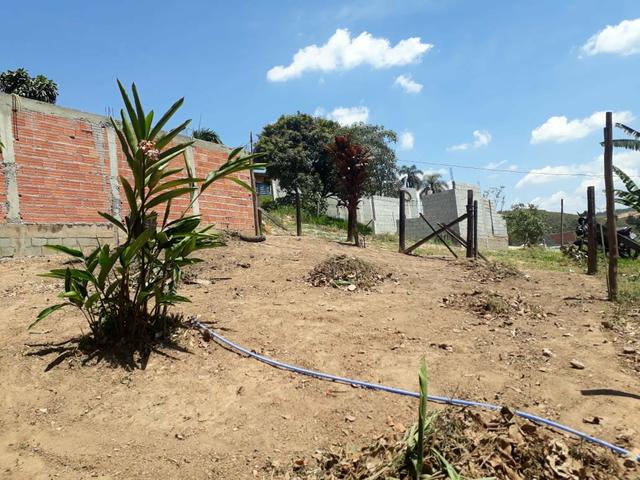 Vende-se terreno 5x30 - Foto 7
