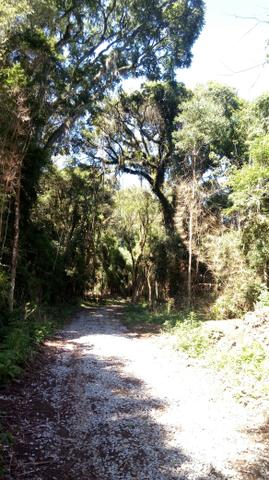 Chácara a venda - Foto 4