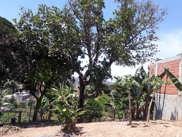 Vende-se terreno 5x30 - Foto 4