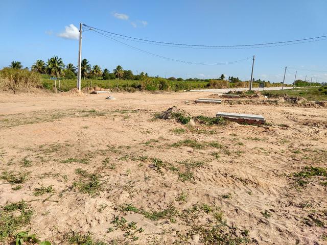 Vendo lotes no cidade Arvoredo - Foto 2
