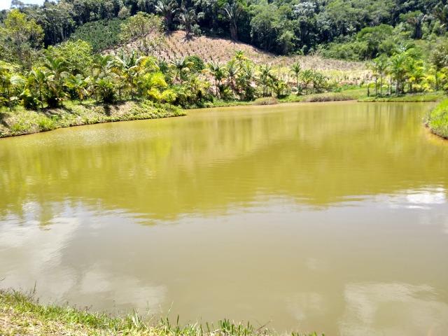 Sítio Viana 26 herquitares