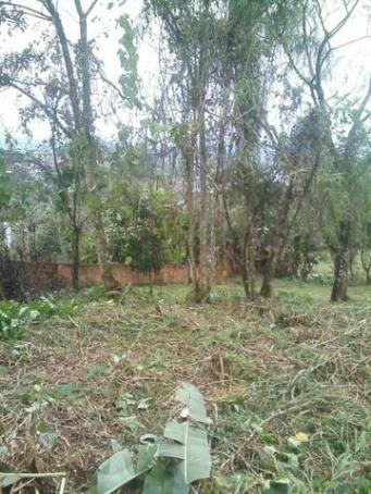 Terreno no bairro João Costa - Foto 2