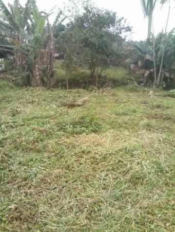 Terreno no bairro João Costa