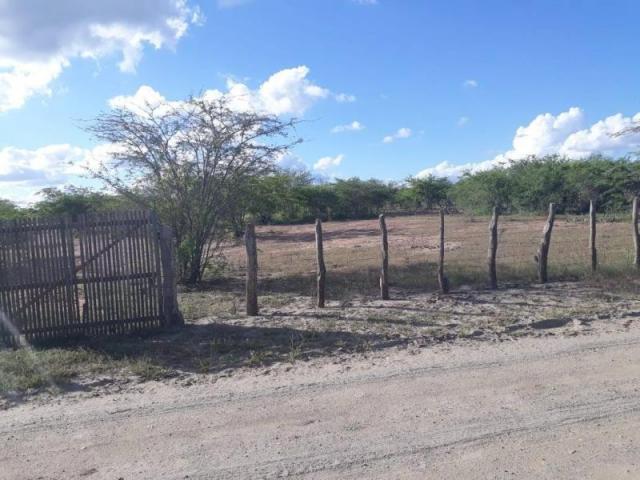 Fazenda para venda em santa cruz do capibaribe, centro - Foto 20