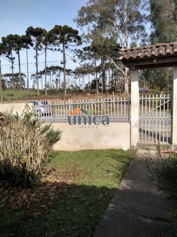 Casa, campo alegre - Foto 13
