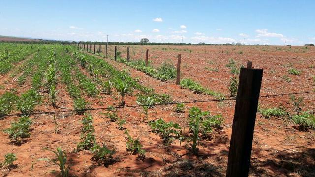Chácara perto de Holambra 1450mts 40mil