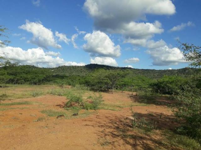 Fazenda para venda em santa cruz do capibaribe, centro - Foto 3