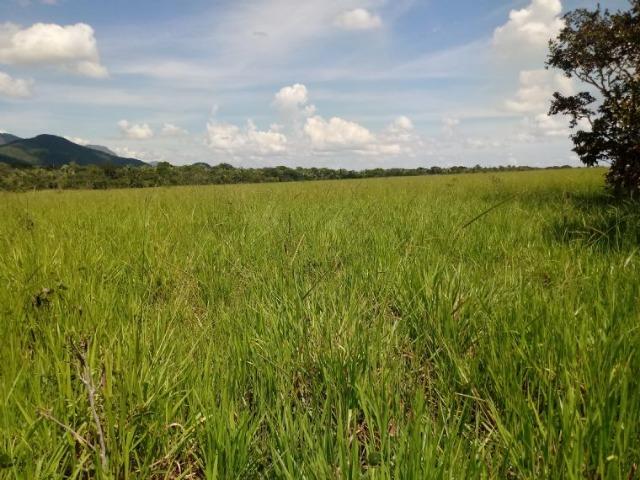Vendo uma fazenda em rosário oeste - Foto 4