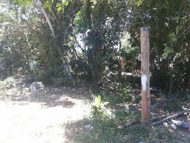 L Terreno no Bairro de Tucuns em Búzios/RJ - Foto 5
