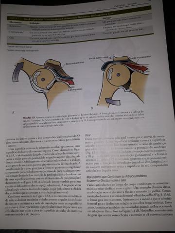 Cinesiologia do aparelho musculoesqueletico - Foto 4