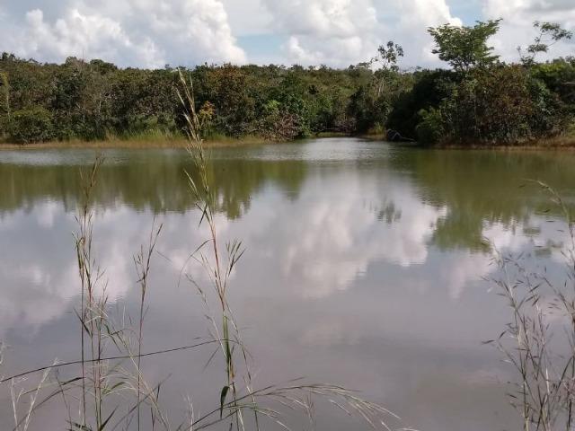 Vendo uma fazenda em rosário oeste - Foto 7