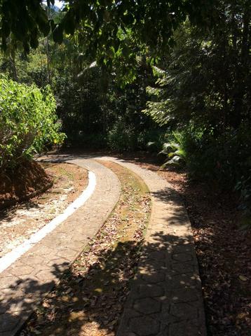 Aluguel de Sitio em Marechal - Sitio Canário - Foto 10