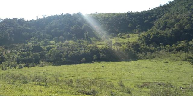 Fazenda - Foto 18