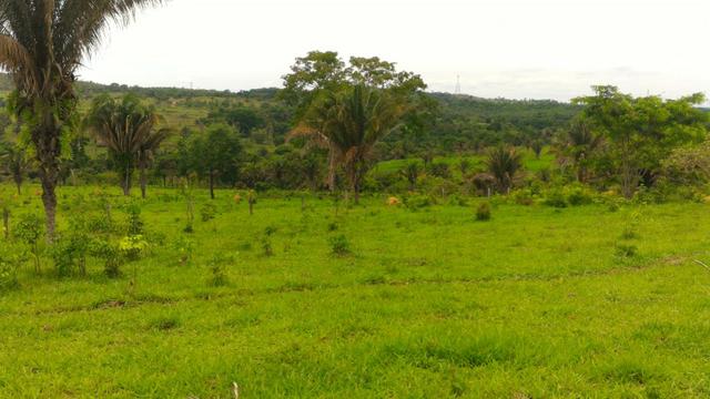 Chácara 5 Alqueires Rio Areia Córrego Nascente Corumbá de Goiás - Foto 10