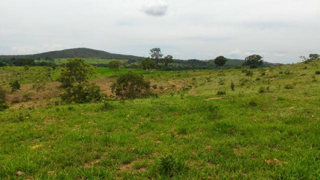 Chácara 5 Alqueires Rio Areia Córrego Nascente Corumbá de Goiás - Foto 8