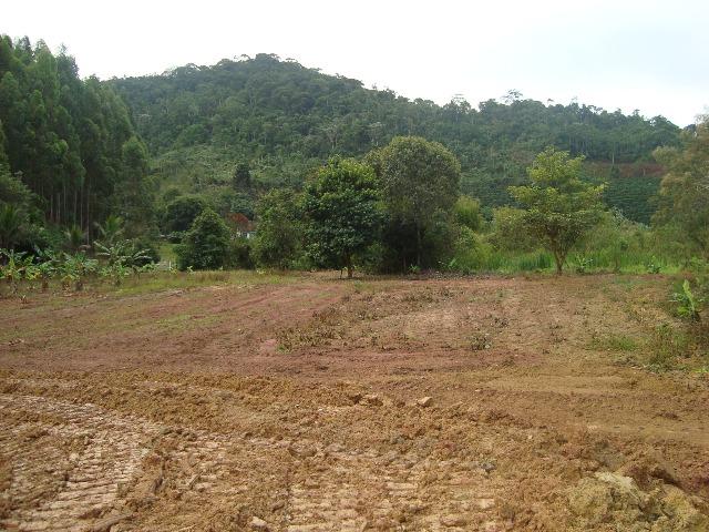 Sitio paraju 1alqueires - Foto 11
