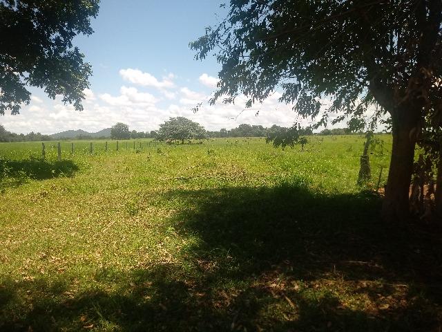 Chacara - Foto 8