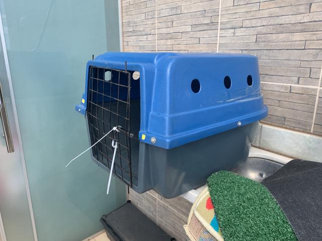 Caixa de transporte Pet tamanho Médio .