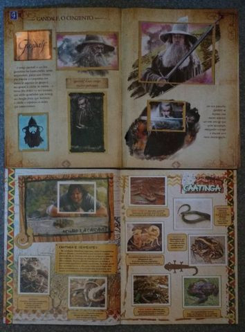 7 Álbuns Diversos Completos - Foto 3