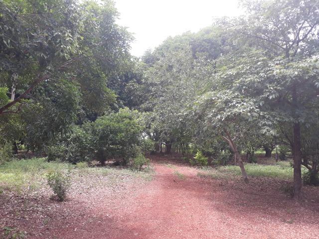 Vendo - Troco Chácara 12 Hectares - Foto 10