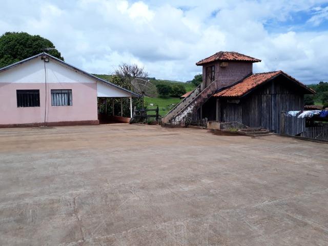 Sitio, 6 alqueires e meio, Siqueira Campos-PR - Foto 2
