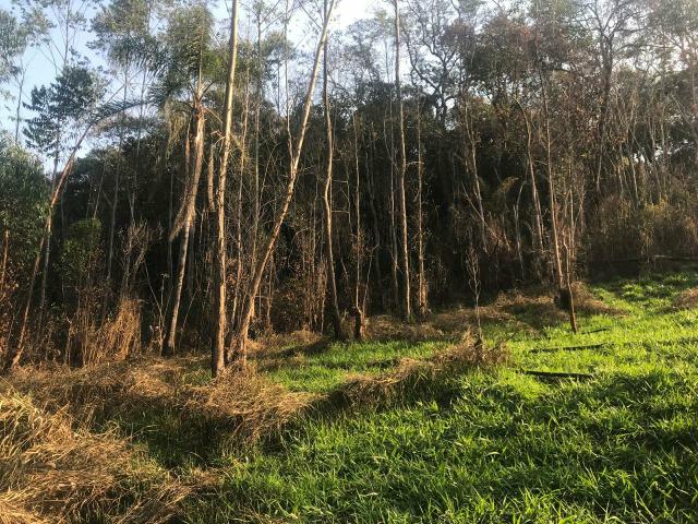 Grande black Friday terreno 10.000m2 de 120.mil a vista por 90 mil a vista - Foto 2
