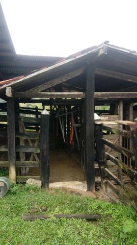 Fazenda
