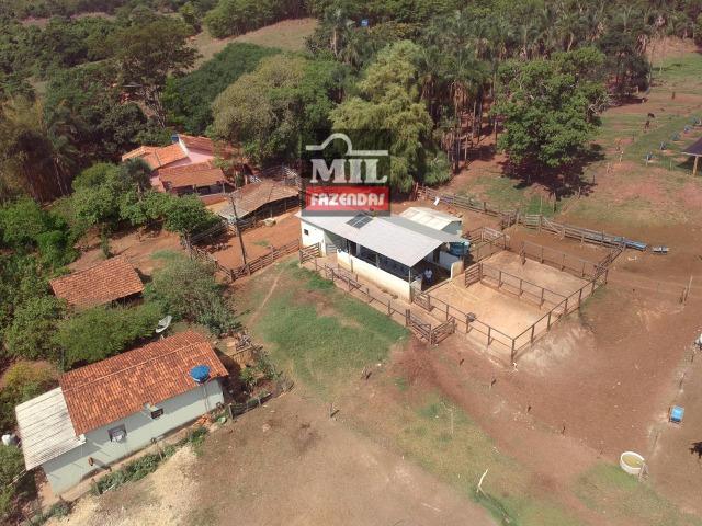 Fazenda 24 Alqueires ( 116.16 hectares )- Santa Cruz \ Cristianópolis-GO