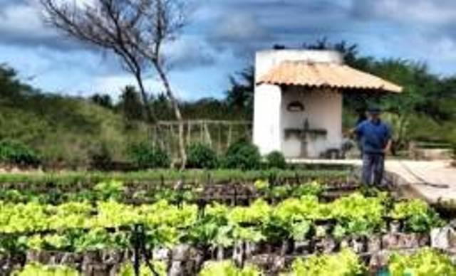 Terreno fazenda real III - Foto 8