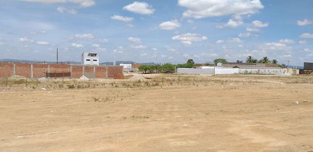 Terreno no loteamento parque boa vista caruaru - Foto 6