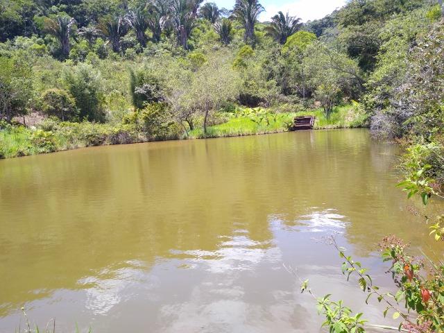 Sítio Viana 26 herquitares - Foto 6