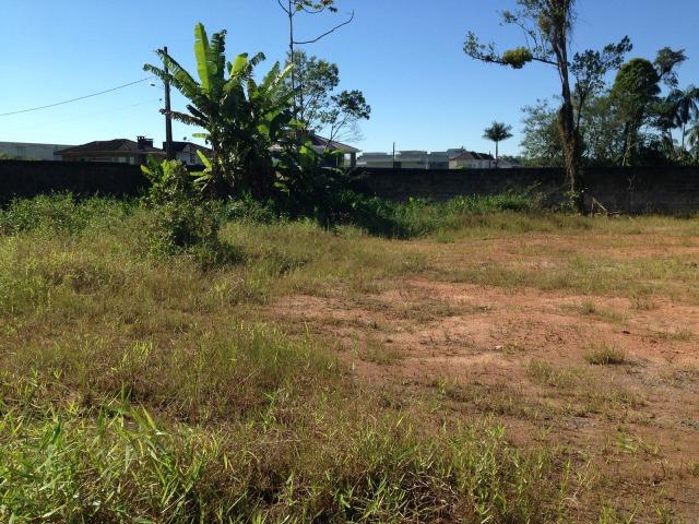 Terreno para alugar em Joinville/SC - Foto 5