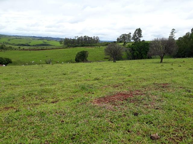 Sitio, 6 alqueires e meio, Siqueira Campos-PR - Foto 6