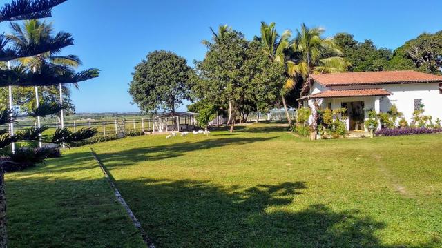 Fazenda 80,52 Ha -Com Açude - ideal Para Pecuária - Foto 5