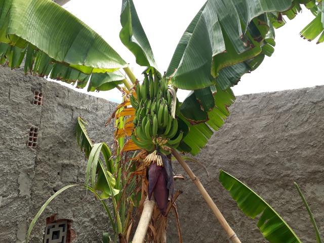 Casa no São Jorge - Foto 14