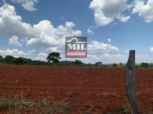 Fazenda 24 Alqueires ( 116.16 hectares )- Santa Cruz \ Cristianópolis-GO - Foto 3