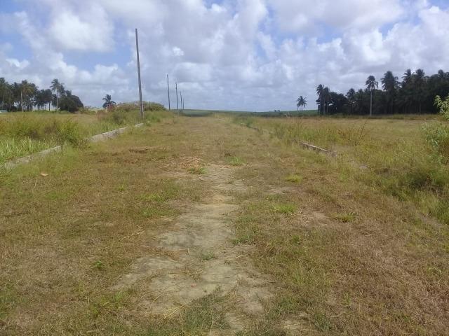 Vende-Se Terreno em Marechal Deodoro - Foto 4