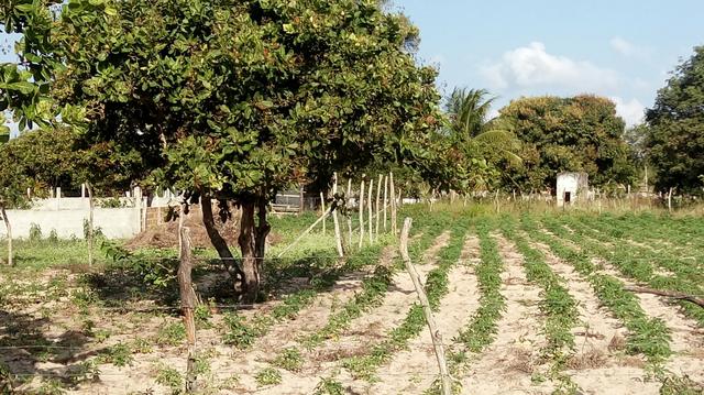 Terreno 10x40 em canabrava - Foto 2