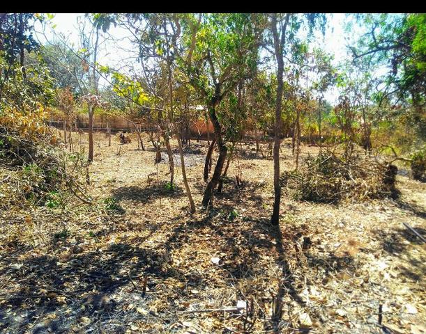 Vendo lote em esmeraldas - Foto 6