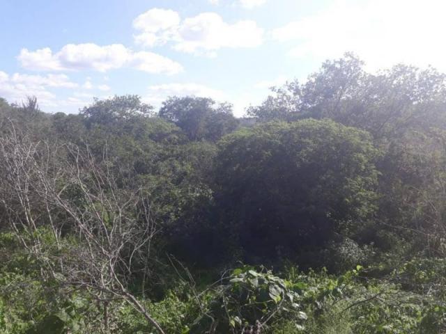 Fazenda para venda em santa cruz do capibaribe, centro - Foto 13