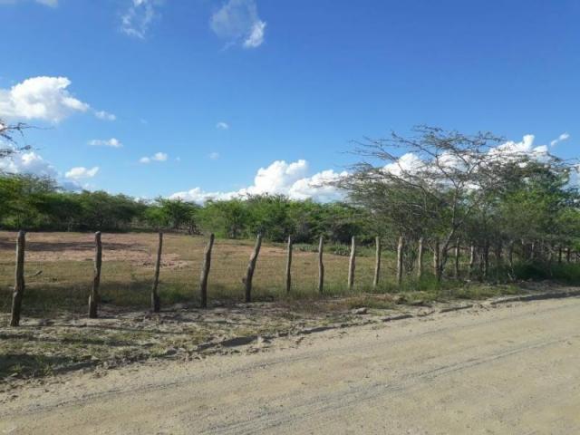 Fazenda para venda em santa cruz do capibaribe, centro - Foto 12