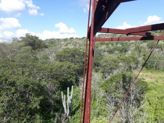 Fazenda para venda em santa cruz do capibaribe, centro - Foto 17