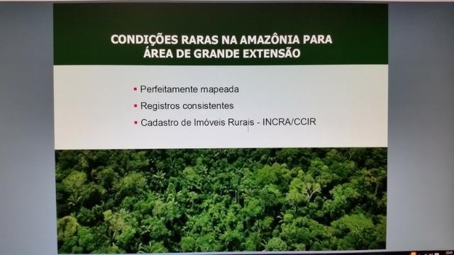 Fazenda na amazônia 913.000 hectares - Foto 8