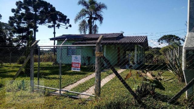Chácara rural à venda, Campo Largo da Roseira, São José dos Pinhais. - Foto 2