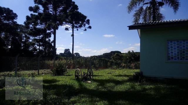 Chácara rural à venda, Campo Largo da Roseira, São José dos Pinhais. - Foto 5