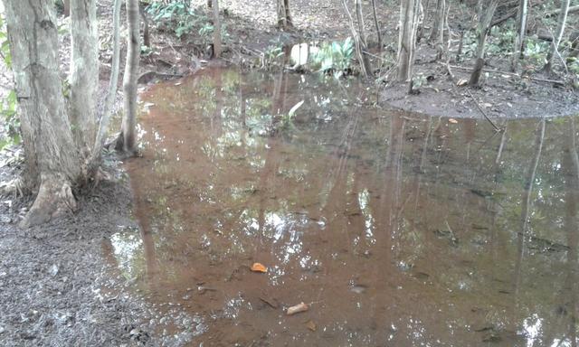 Vendo fazenda em Santa Rita FA