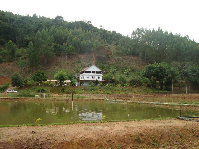 Sitio paraju 1alqueires - Foto 4